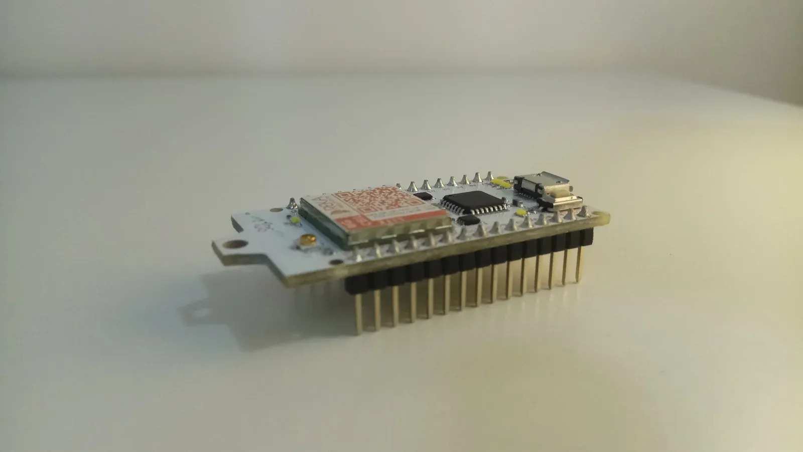 A development board from REKA’s engineering archive